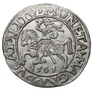 Sigismund II. Augustus, Halbpfennig 1561, Wilna - LI/LITV