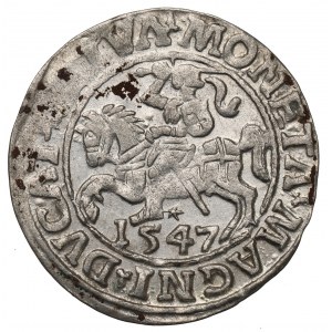 Sigismund II Augustus, Halfgroat 1547, Vilnius