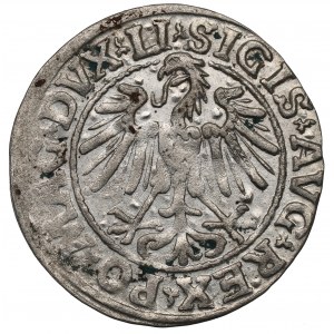 Sigismund II Augustus, Halfgroat 1547, Vilnius