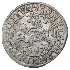 Sigismund II. Augustus, Halbpfennig 1547, Wilna - LI/LITVA
