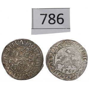 Sigismund II. Augustus, Halbpfennigsatz 1547-61