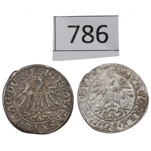 Sigismund II. Augustus, Halbpfennigsatz 1547-61