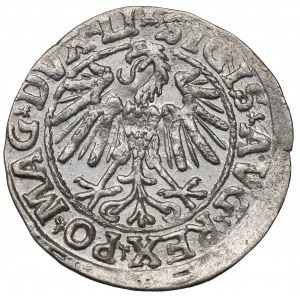 Sigismund II. Augustus, Halbpfennig 1547, Wilna - LI/LITVA