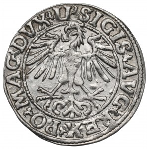 Sigismondo II Augusto, mezzo penny 1550, Vilnius - LI/LITVA