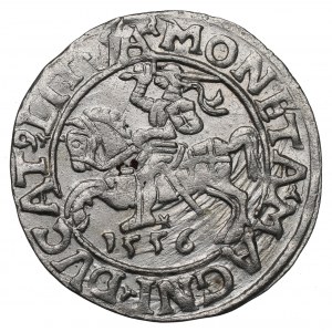 Sigismund II Augustus, Halfgroat 1556, Vilnius
