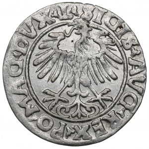 Sigismund II Augustus, Halfgroat 1556, Vilnius