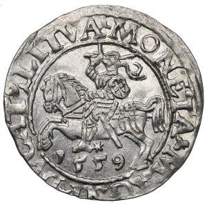 Sigismund II Augustus, Halfgroat 1559, Vilnius