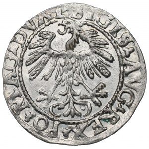 Sigismund II Augustus, Halfgroat 1559, Vilnius
