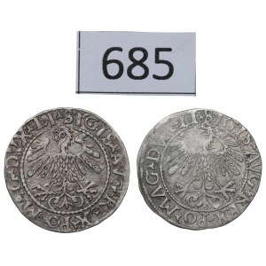 Sigismund II. Augustus, Halbpfennigsatz 1558-59
