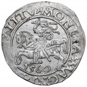 Sigismund II Augustus, Halfgroat 1560, Vilnius - L/LITV