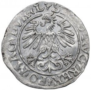 Sigismund II Augustus, Halfgroat 1560, Vilnius - L/LITV