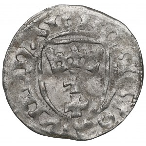 Casimir IV Jagellon, Schilling without date, Danzig
