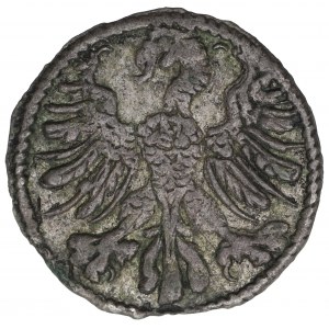 Sigismund II Augustus, Halfgroat 1546, Vilnius - cut to denar
