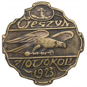 II RP, Zlot Sokoli Cieszyn 1923