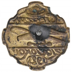 II RP, Zlot Sokoli Cieszyn 1923