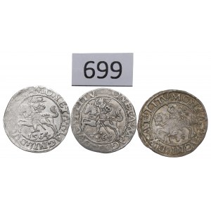 Sigismund II. Augustus, Halbpfennigsatz 1559-65