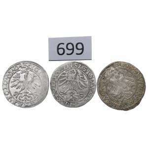 Sigismund II. Augustus, Halbpfennigsatz 1559-65