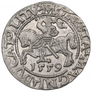 Sigismund II Augustus, Halfgroat 1559, Vilnius