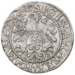 Sigismund II Augustus, Halfgroat 1559, Vilnius