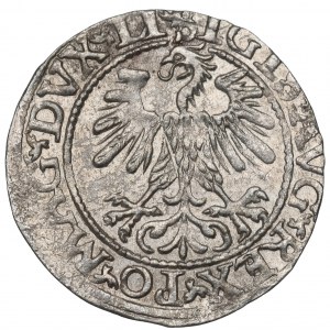 Sigismund II Augustus, Halfgroat 1560, Vilnius - LI/LITV