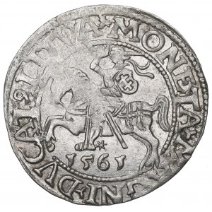 Sigismund II Augustus, Halfgroat 1565, Vilnius