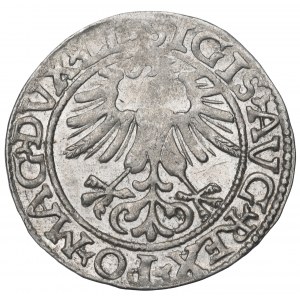 Sigismund II Augustus, Halfgroat 1565, Vilnius