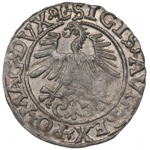 Sigismund II Augustus, Halfgroat 1565, Vilnius