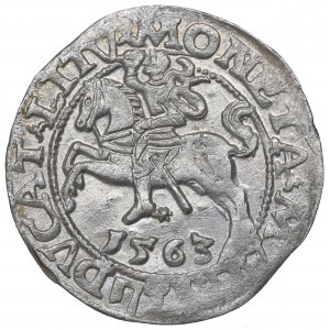Sigismund II. Augustus, Halbpfennig 1563, Wilna - L/LITV