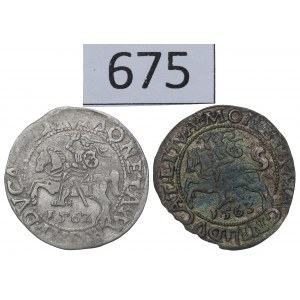 Sigismund II. Augustus, Halbpfennigsatz 1562-63