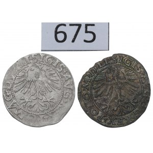 Sigismund II. Augustus, Halbpfennigsatz 1562-63