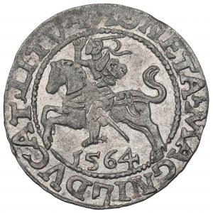 Sigismund II Augustus, Halfgroat 1564, Vilnius - L/LITV
