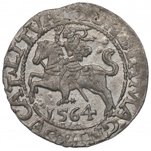 Sigismund II. Augustus, Halbpfennig 1564, Wilna, L/LITVA