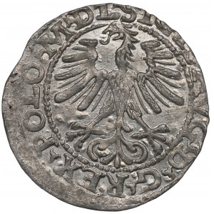 Sigismund II. Augustus, Halbpfennig 1564, Wilna, L/LITVA