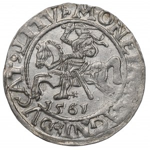 Sigismund II Augustus, Halfgroat 1565, Vilnius