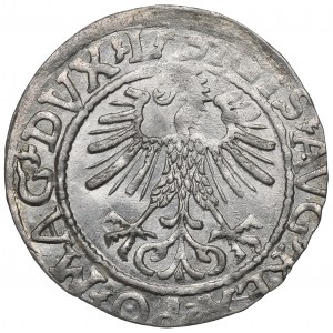 Sigismund II Augustus, Halfgroat 1565, Vilnius