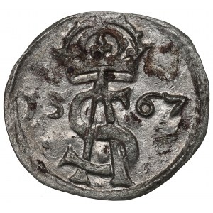 Sigismundus II Augustus, 2 denar 1567, Vilnius