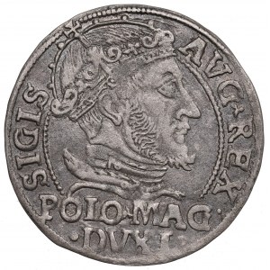Sigismund II Augustus, Grossus 1547, Vilnius
