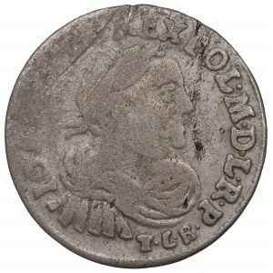 John III Sobieski, 6 groschen 1683, Bromberg