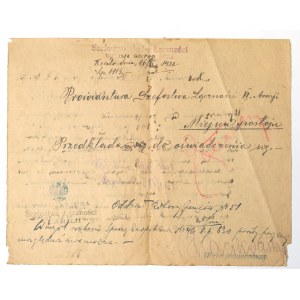 II RP, Wniosek oddział roboczy jeńców 1920