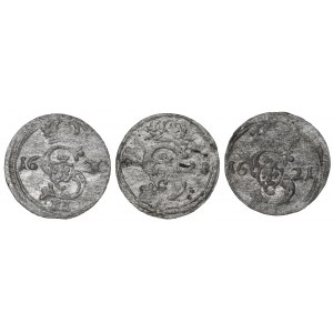 Zygmunt III Waza, Zestaw dwudenarów 1620-21, Wilno