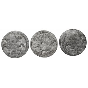 Zygmunt III Waza, Zestaw dwudenarów 1620-21, Wilno