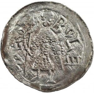 Bolesław III Krzywousty (1107-38), Kraków, denar, książę z OSZCZEPEM - RZADKOŚĆ