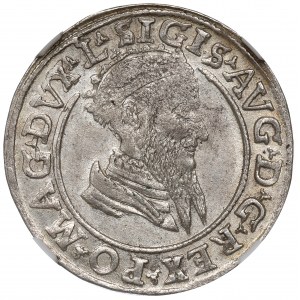 Sigismondo II Augusto, Quadrangolo 1569, Vilnius - NGC MS62