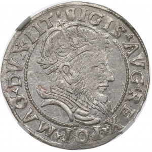 Sigismondo II Augusto, penny lituano a piede 1555, Vilnius - NGC MS64 (l'unico) - RARO
