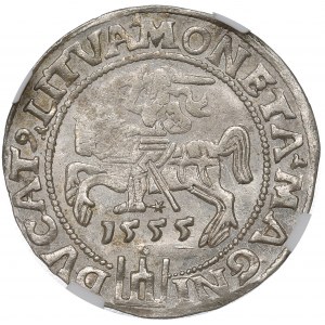 Sigismondo II Augusto, penny lituano a piede 1555, Vilnius - NGC MS64 (l'unico) - RARO