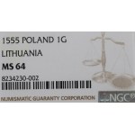 Sigismondo II Augusto, penny lituano a piede 1555, Vilnius - NGC MS64 (l'unico) - RARO
