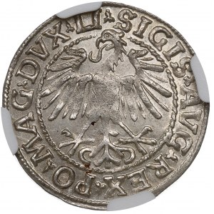 Sigismund II Augustus, Halfgroat 1548, Vilnius - LI/LITVA NGC MS63
