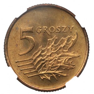 III RP, 5 groszy 1990 - NGC MS65