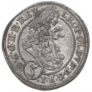 Schlesien under Habsburg, Leopold I, 3 kreuzer 1695, Breslau