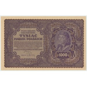 II RP, 1000 marek polskich 1919 II SERJA W